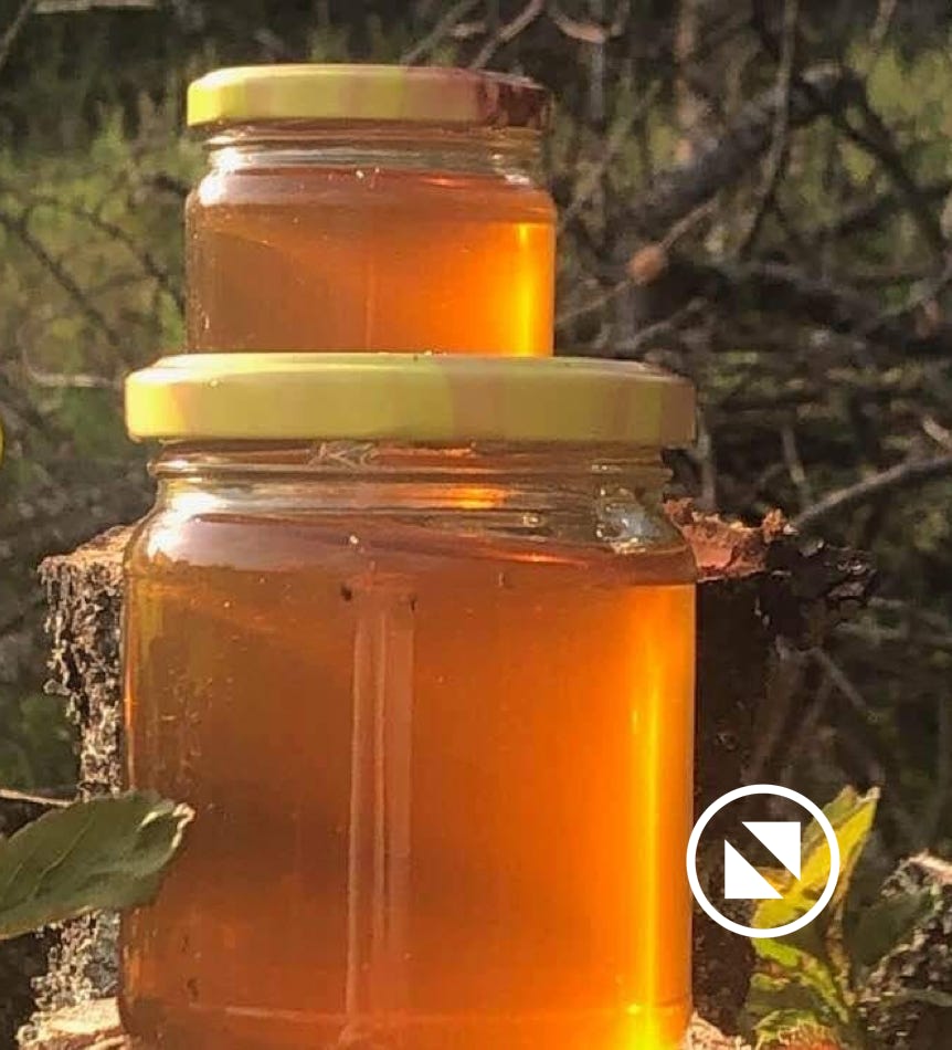 Vente de miels et produits dérivé. Boutique en ligne. Paiements sécurisé. Expéditions et livraisons. Paiement en ligne ou en boutique. Production 100% biologique écologique dans le respect des cycles de vi des abeilles. Il est entouré de champs de fleurs et de terrains sains non exploités. Christelle DEBRAY LAMAURAY Apilculteur Apicultrice Abeilles à Obernai Alsace Grand Est Miel Miels authentiques, crémeux, fleurs, châtaigner, forêt, sapin, miels originaux, myrtilles, Pollen, Propolis, idées cadeaux. 